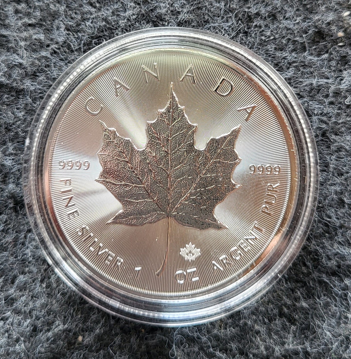 1oz Silber Maple Leaf 2023