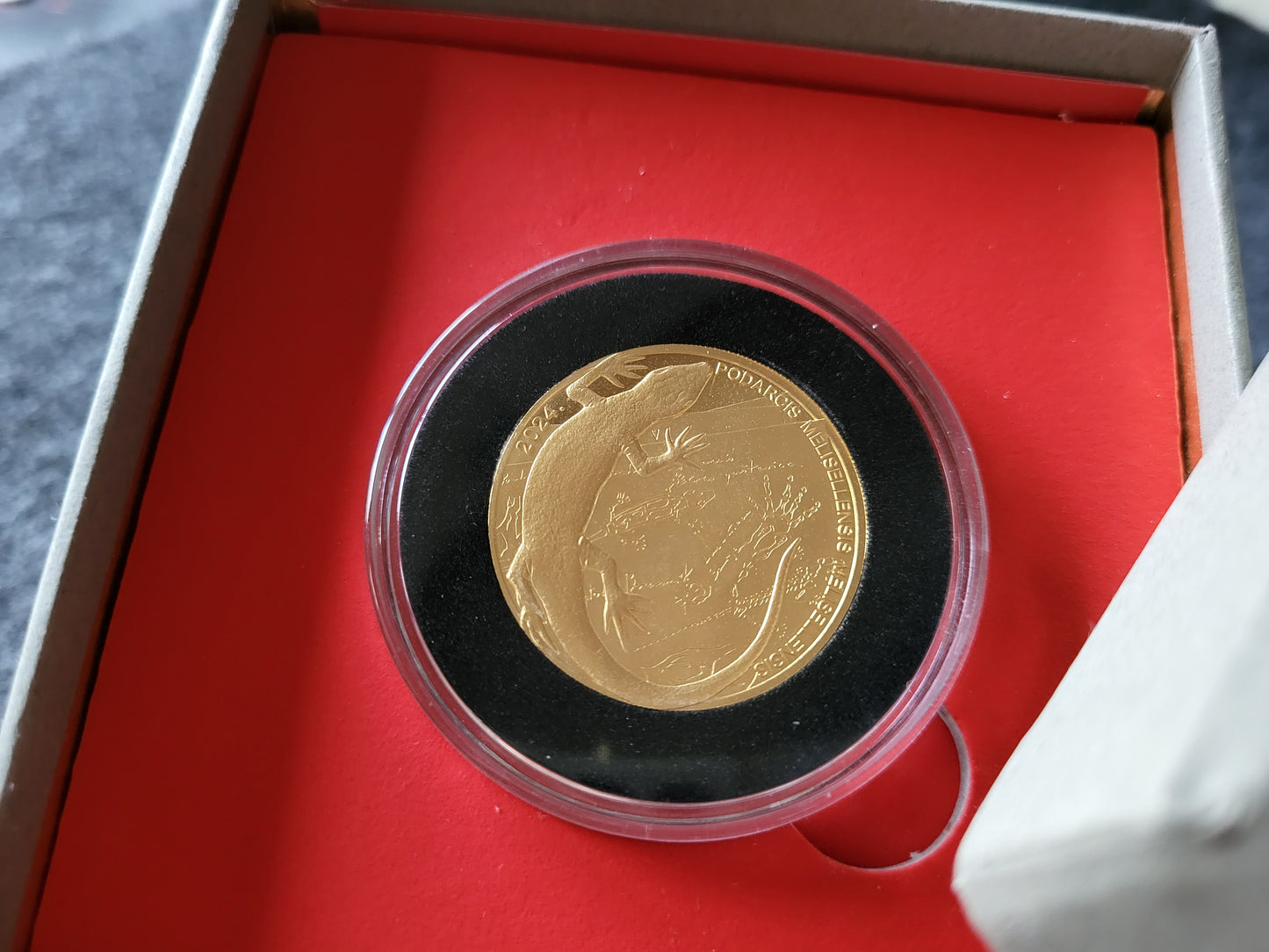 1oz Gold Schwarzeidechse Kroatien 2024