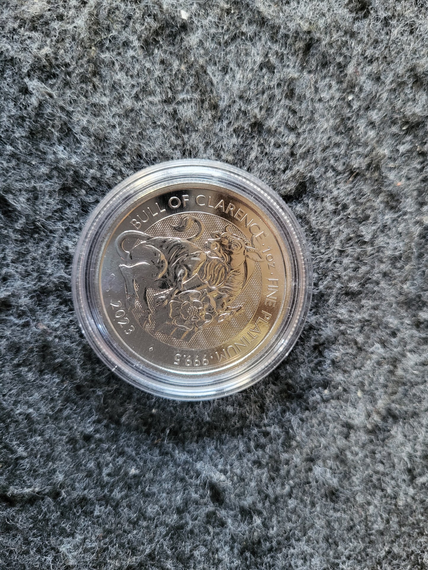 1oz Platin Tudor Beasts Black Bull of Clarence 2023