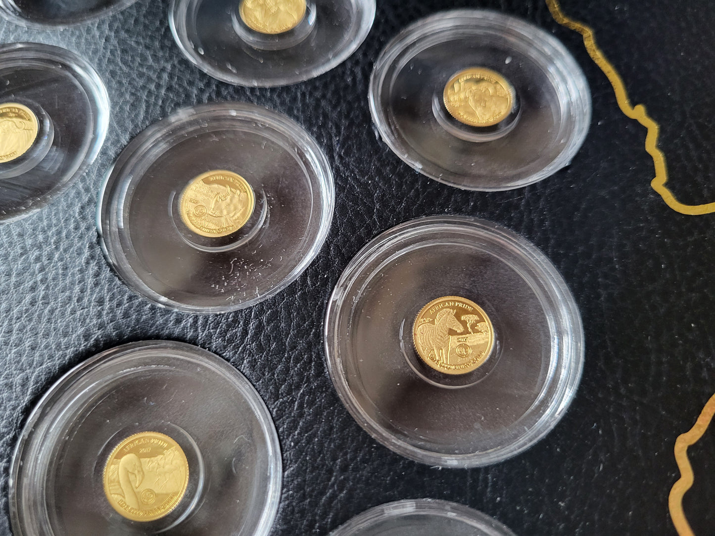 Set 11x 0,5g 999,9er Gold "Prode of Africa" Tiermotive in Holzbox