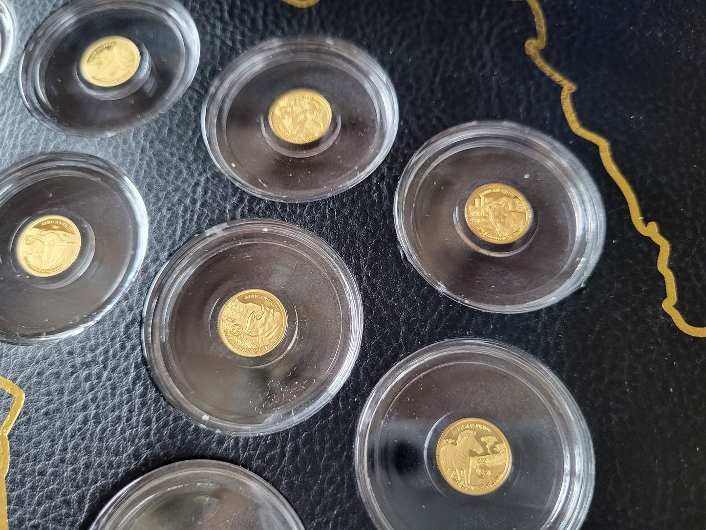 Set 11x 0,5g 999,9er Gold "Prode of Africa" Tiermotive in Holzbox