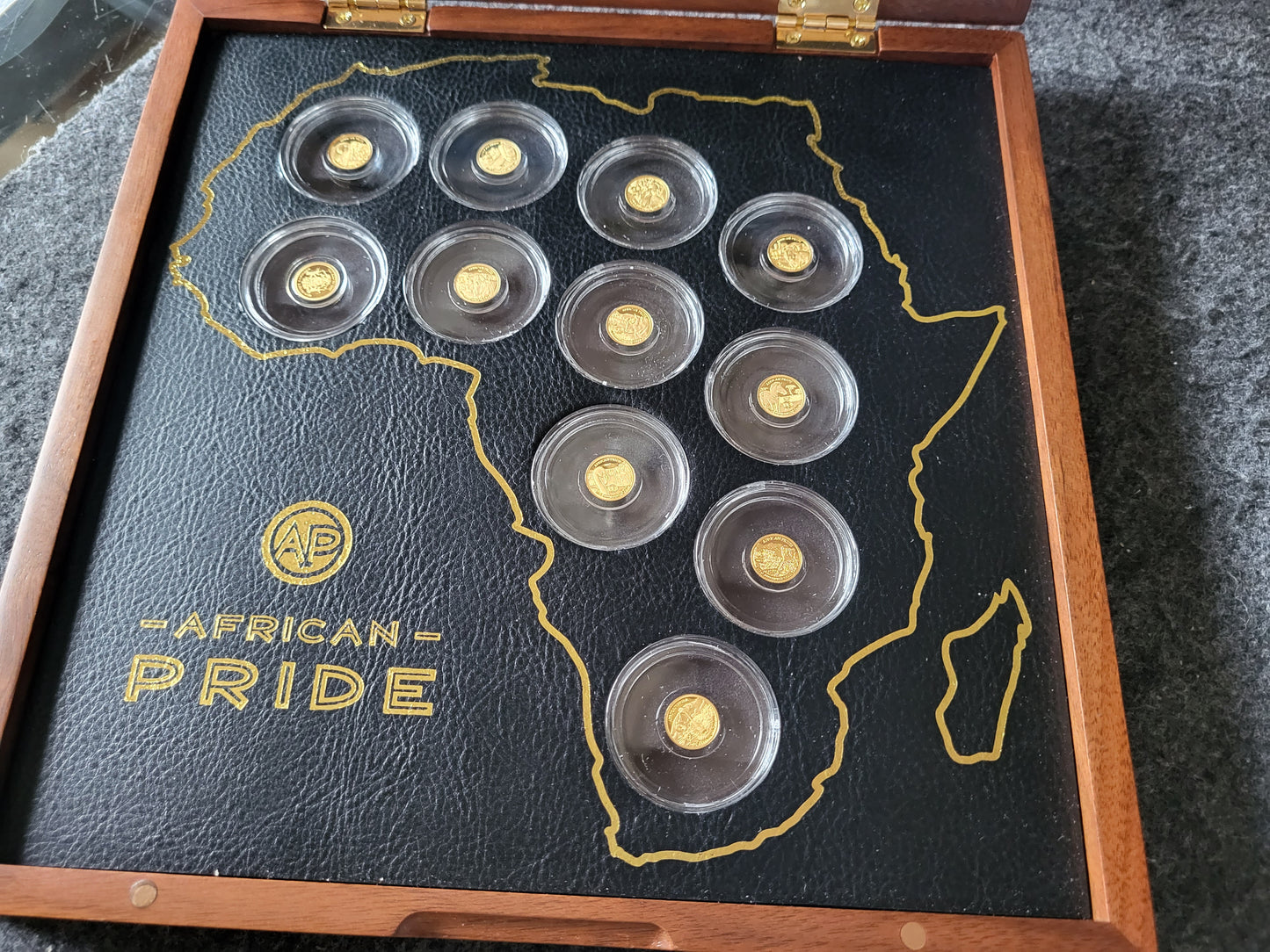 Set 11x 0,5g 999,9er Gold "Prode of Africa" Tiermotive in Holzbox